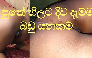 eating Anal Sinhala Awe from put emphasize tongue -ass licking