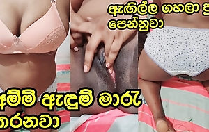 Sri Lankan Big Bowels Bird Pussy Fingering