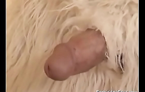 Extraordinary Asian Blowjob With Furry Feral Friend