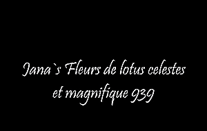 Fleurs de lotus celestes et magnifique 939